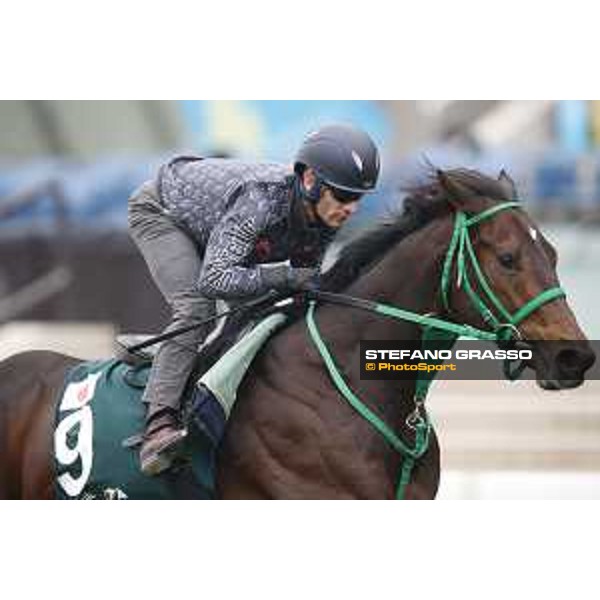 Morning track works at Sha Tin racecourse - Mirco DeMuro - Kiseki - Hong Kong - 7 December 2017 - ph.Stefano Grasso/Longines