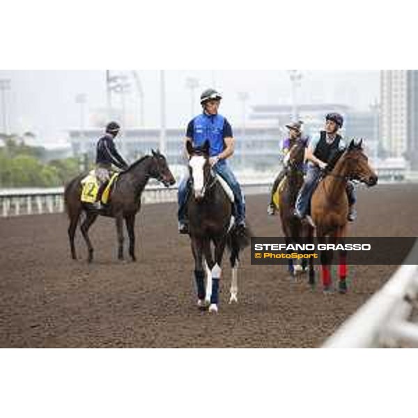Morning track works at Sha Tin racecourse - Hong Kong - 7 December 2017 - ph.Stefano Grasso/Longines
