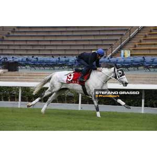 Morning track works at Sha Tin racecourse - Smart Layer - Hong Kong - 7 December 2017 - ph.Stefano Grasso/Longines