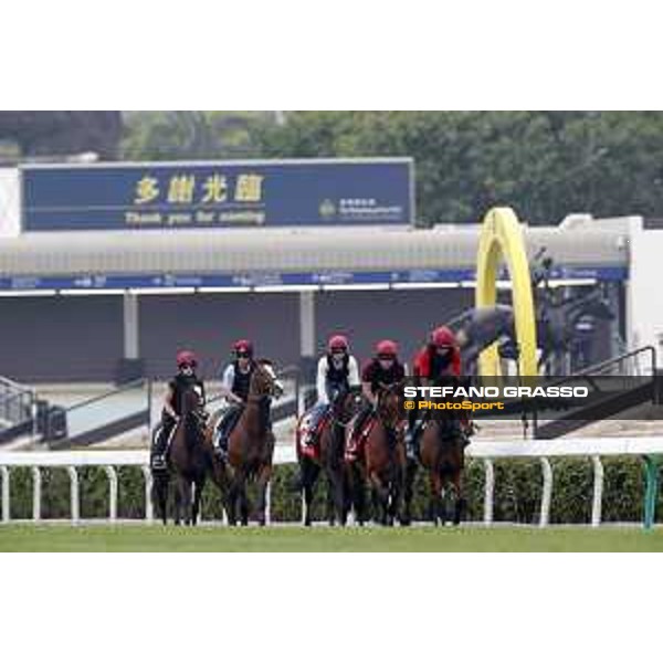 Morning track works at Sha Tin racecourse - Hong Kong - 7 December 2017 - ph.Stefano Grasso/Longines