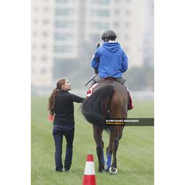 Morning track works at Sha Tin racecourse - Garlingari - Stephane Pasquier - Hong Kong - 7 December 2017 - ph.Stefano Grasso/Longines