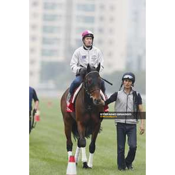 Morning track works at Sha Tin racecourse - Staphanos - Hugh Bowman - Hong Kong - 7 December 2017 - ph.Stefano Grasso/Longines