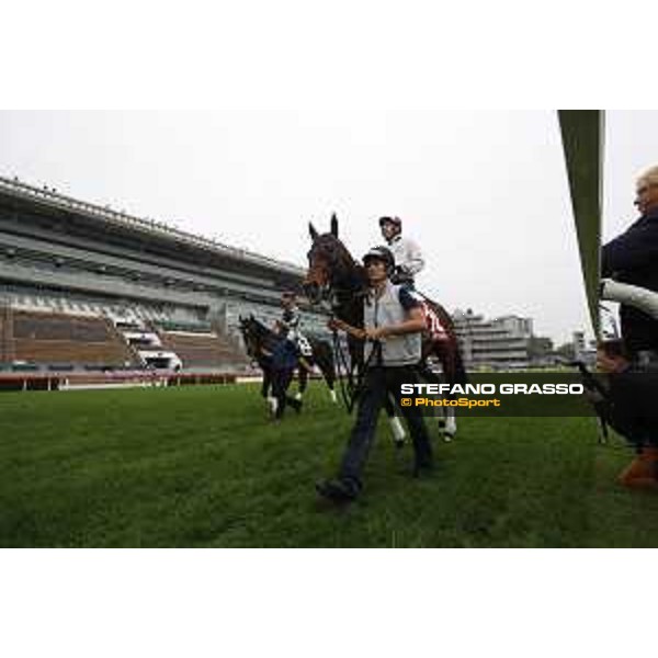 Morning track works at Sha Tin racecourse - Staphanos - Hugh Bowman - Hong Kong - 7 December 2017 - ph.Stefano Grasso/Longines