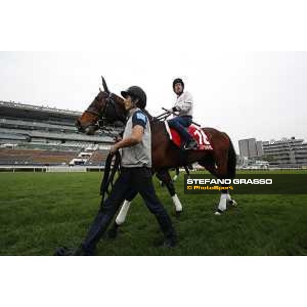 Morning track works at Sha Tin racecourse - Staphanos - Hugh Bowman - Hong Kong - 7 December 2017 - ph.Stefano Grasso/Longines