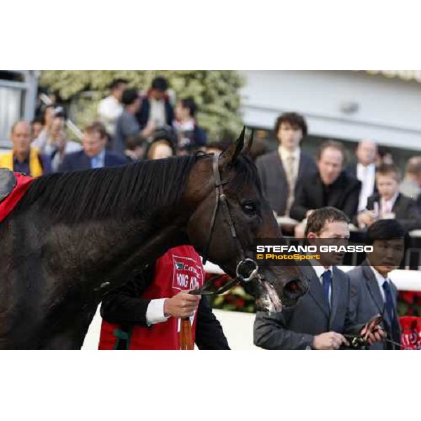 a close up for Ramonti after winning the Cathay Pacific Kong Kong Cup Hong Kong, Sha Tin racetrack, 9th dec. 2007 ph. Stefano Grasso