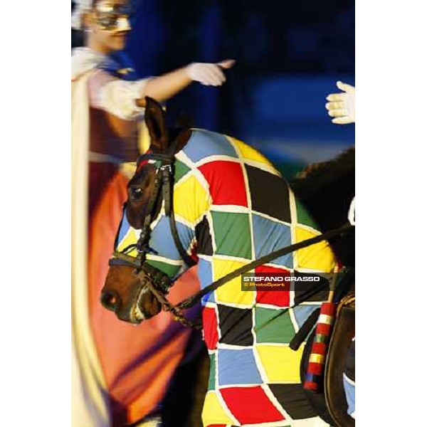 Horse Sense show - Fiera Cavalli Verona, 9th nov. 2007 ph. Stefano Grasso