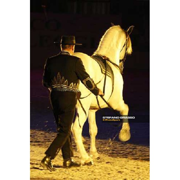 Horse Sense show - Fiera Cavalli Verona, 9th nov. 2007 ph. Stefano Grasso