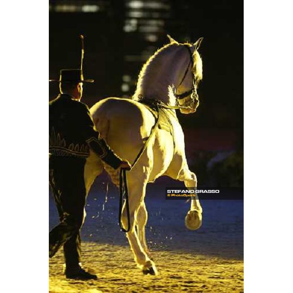 Horse Sense show - Fiera Cavalli Verona, 9th nov. 2007 ph. Stefano Grasso
