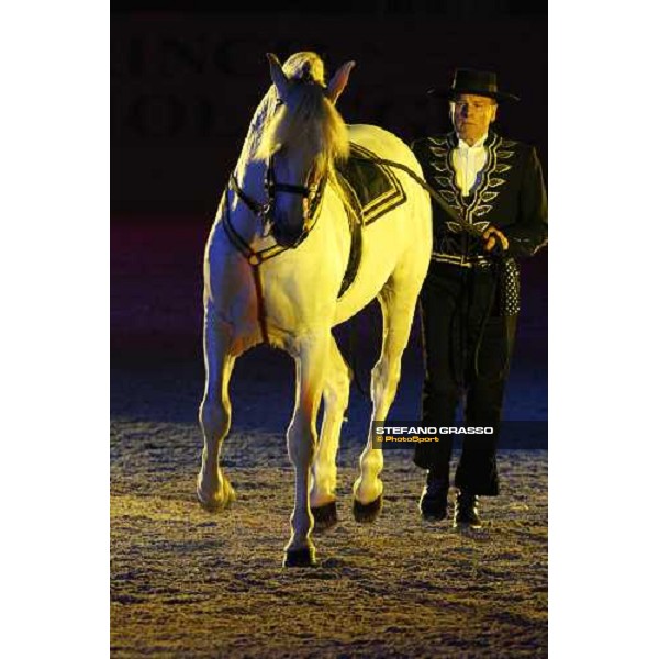 Horse Sense show - Fiera Cavalli Verona, 9th nov. 2007 ph. Stefano Grasso