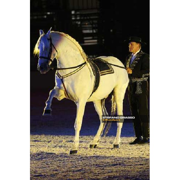 Horse Sense show - Fiera Cavalli Verona, 9th nov. 2007 ph. Stefano Grasso