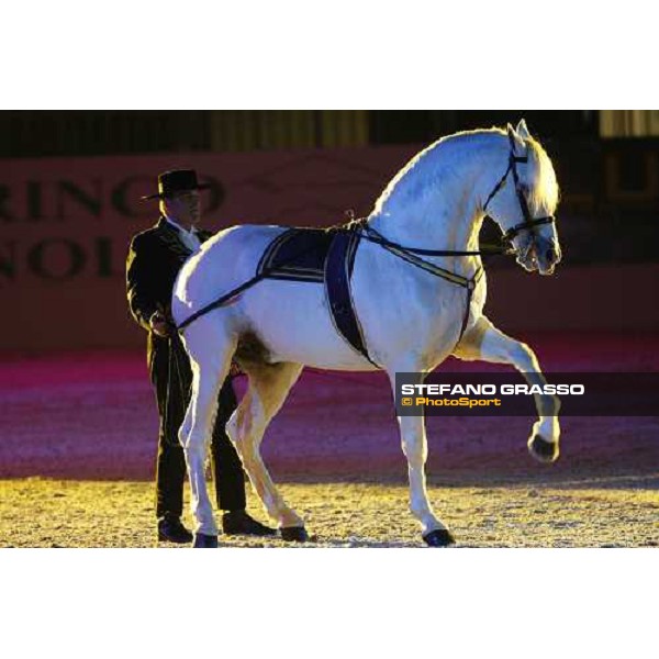 Horse Sense show - Fiera Cavalli Verona, 9th nov. 2007 ph. Stefano Grasso