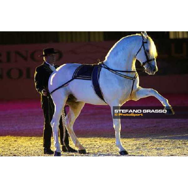 Horse Sense show - Fiera Cavalli Verona, 9th nov. 2007 ph. Stefano Grasso