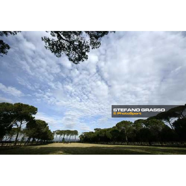 paddocks at Razza Latina Pisa San Rossore, 17th dec. 2007 ph. Stefano Grasso