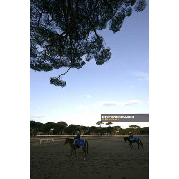 morning works at \'I Cotoni\' Pisa San Rossore, 17th dec. 2007 ph. Stefano Grasso