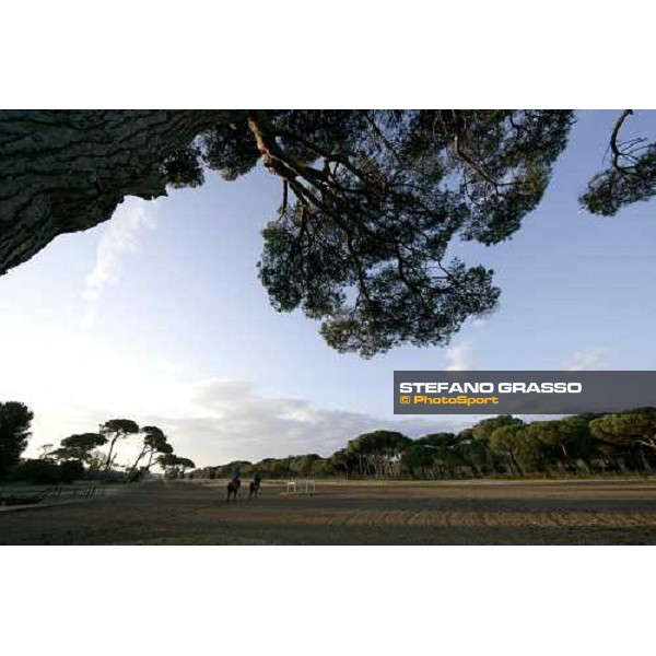 morning works at \'I Cotoni\' Pisa San Rossore, 17th dec. 2007 ph. Stefano Grasso