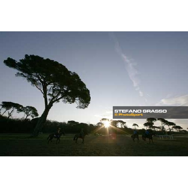 morning works at \'I Cotoni\' Pisa San Rossore, 17th dec. 2007 ph. Stefano Grasso