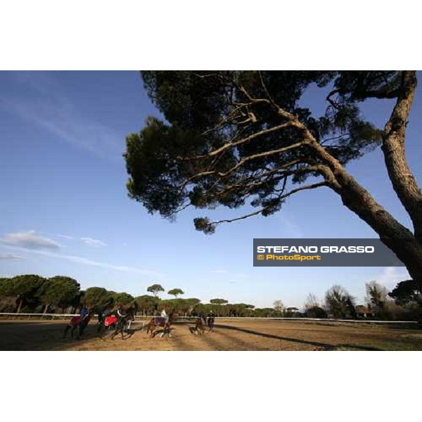 morning works at \'I Cotoni\' Pisa San Rossore, 17th dec. 2007 ph. Stefano Grasso