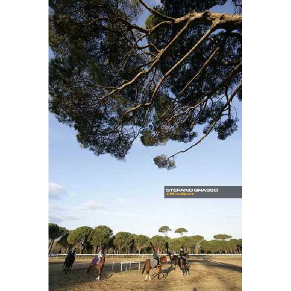 morning works at \'I Cotoni\' Pisa San Rossore, 17th dec. 2007 ph. Stefano Grasso