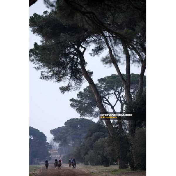 morning works at \' I Cotoni\' Pisa San Rossore, 17th dec. 2007 ph. Stefano Grasso