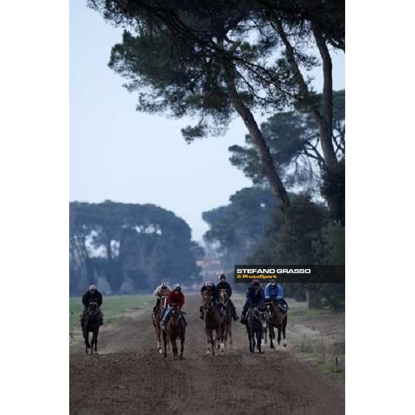 morning works at \' I Cotoni\' Pisa San Rossore, 17th dec. 2007 ph. Stefano Grasso
