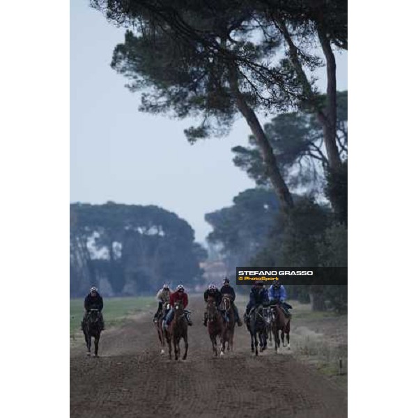morning works at \' I Cotoni\' Pisa San Rossore, 17th dec. 2007 ph. Stefano Grasso