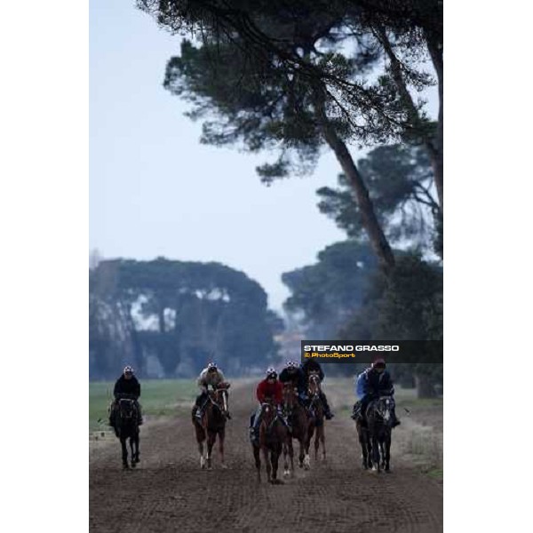 morning works at \' I Cotoni\' Pisa San Rossore, 17th dec. 2007 ph. Stefano Grasso