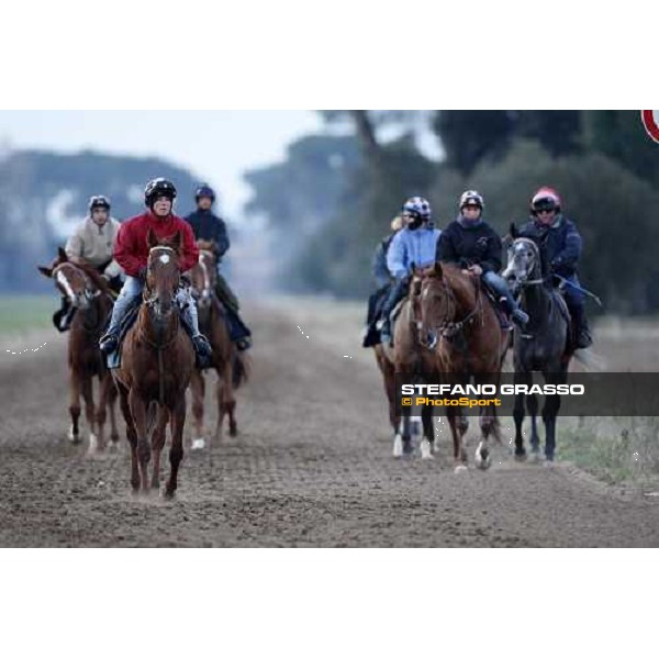 morning works at \' I Cotoni\' Pisa San Rossore, 17th dec. 2007 ph. Stefano Grasso