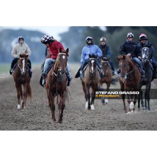 morning works at \' I Cotoni\' Pisa San Rossore, 17th dec. 2007 ph. Stefano Grasso