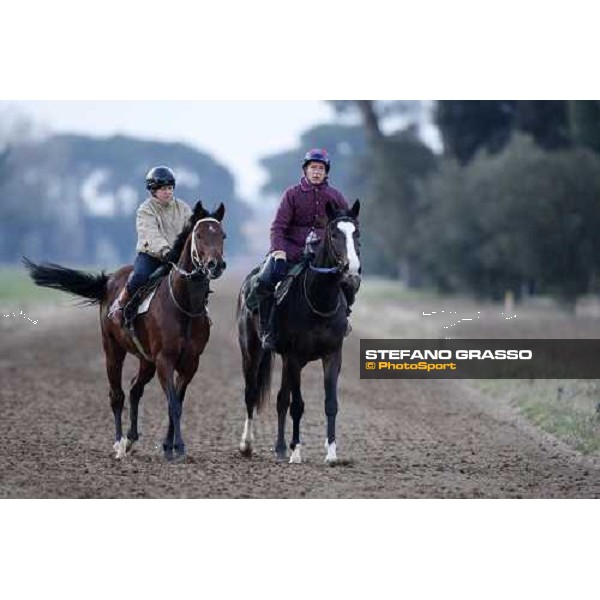 morning works at \' I Cotoni\' Pisa San Rossore, 17th dec. 2007 ph. Stefano Grasso