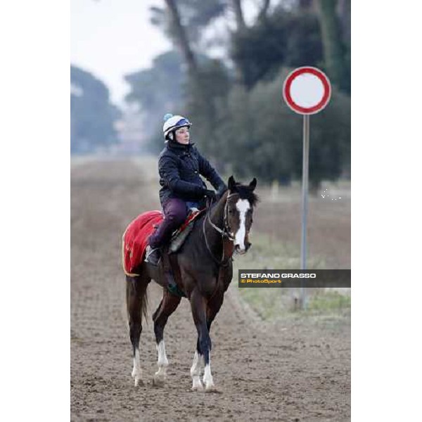 morning works at \' I Cotoni\' Pisa San Rossore, 17th dec. 2007 ph. Stefano Grasso