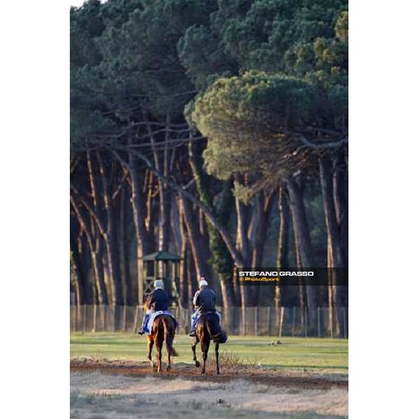 morning works at \' I Cotoni\' Pisa San Rossore, 17th dec. 2007 ph. Stefano Grasso