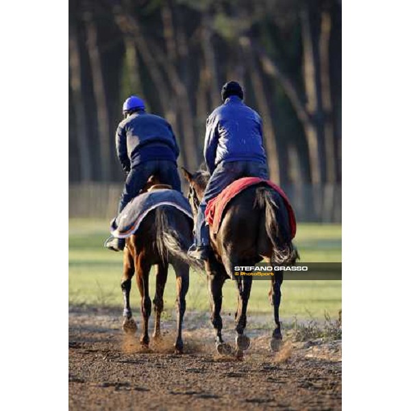 morning works at \' I Cotoni\' Pisa San Rossore, 17th dec. 2007 ph. Stefano Grasso