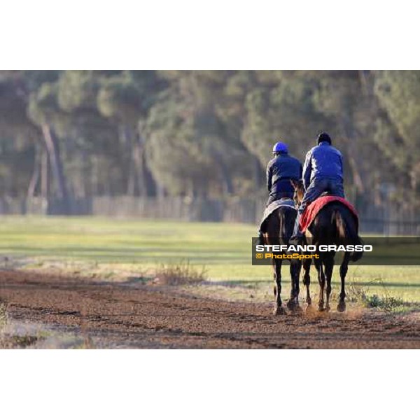 morning works at \' I Cotoni\' Pisa San Rossore, 17th dec. 2007 ph. Stefano Grasso
