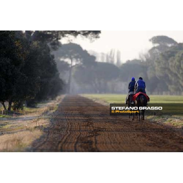 morning works at \' I Cotoni\' Pisa San Rossore, 17th dec. 2007 ph. Stefano Grasso