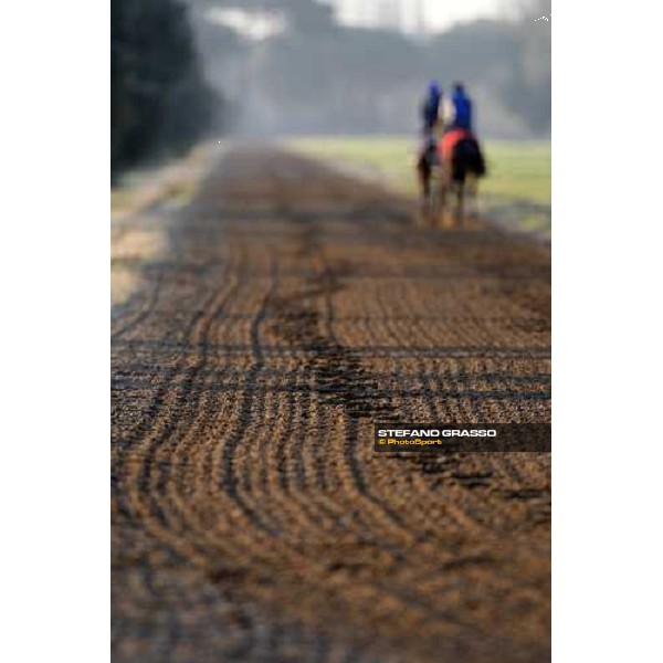 morning works at \' I Cotoni\' Pisa San Rossore, 17th dec. 2007 ph. Stefano Grasso