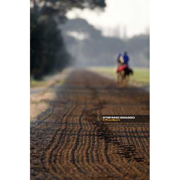 morning works at \' I Cotoni\' Pisa San Rossore, 17th dec. 2007 ph. Stefano Grasso