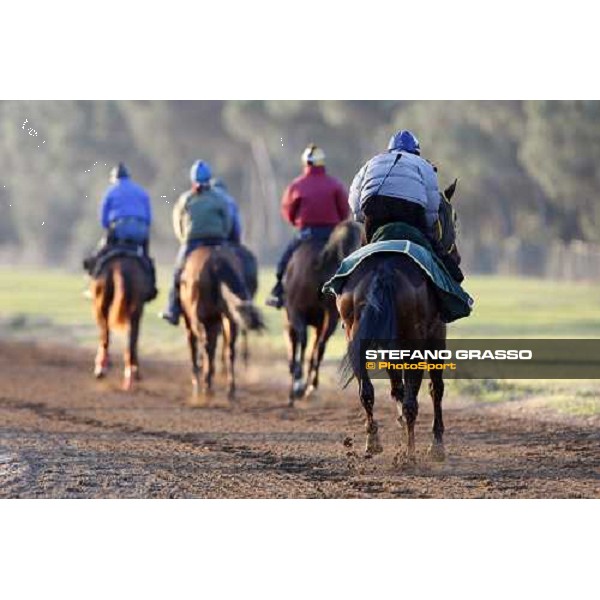 morning works at \' I Cotoni\' Pisa San Rossore, 17th dec. 2007 ph. Stefano Grasso