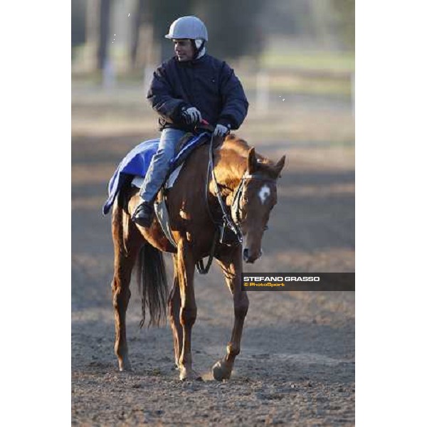 morning works at \' I Cotoni\' Pisa San Rossore, 17th dec. 2007 ph. Stefano Grasso