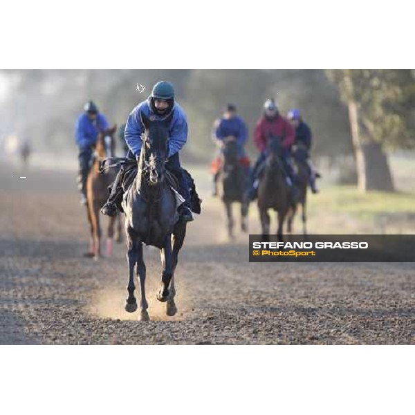 morning works at \' I Cotoni\' Pisa San Rossore, 17th dec. 2007 ph. Stefano Grasso