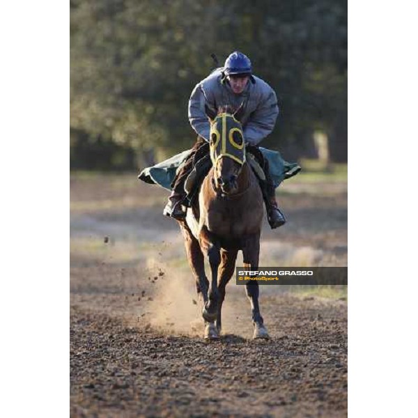 morning works at \' I Cotoni\' Pisa San Rossore, 17th dec. 2007 ph. Stefano Grasso