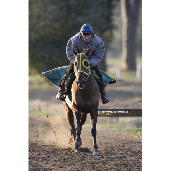 morning works at \' I Cotoni\' Pisa San Rossore, 17th dec. 2007 ph. Stefano Grasso