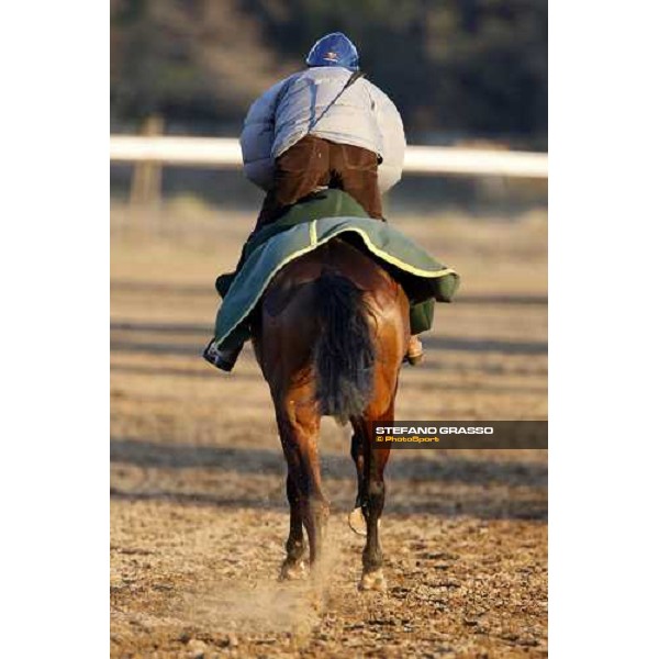 morning works at \' I Cotoni\' Pisa San Rossore, 17th dec. 2007 ph. Stefano Grasso