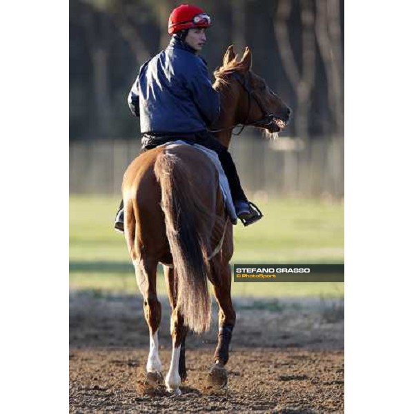 morning works at \' I Cotoni\' Pisa San Rossore, 17th dec. 2007 ph. Stefano Grasso
