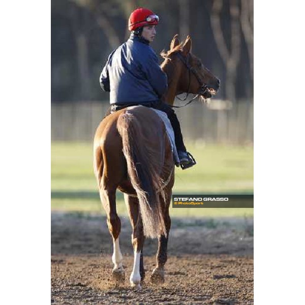 morning works at \' I Cotoni\' Pisa San Rossore, 17th dec. 2007 ph. Stefano Grasso