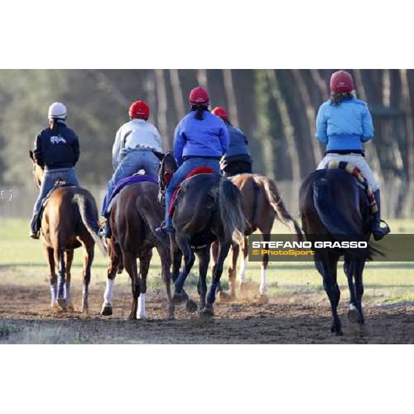 morning works at \' I Cotoni\' Pisa San Rossore, 17th dec. 2007 ph. Stefano Grasso