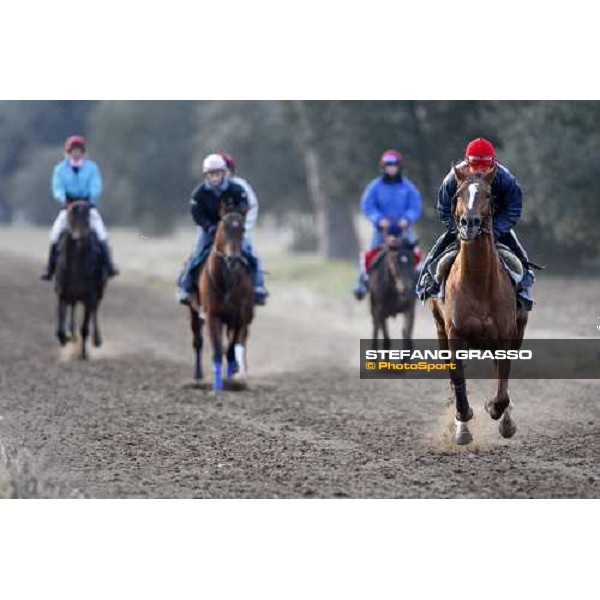 morning works at \' I Cotoni\' Pisa San Rossore, 17th dec. 2007 ph. Stefano Grasso