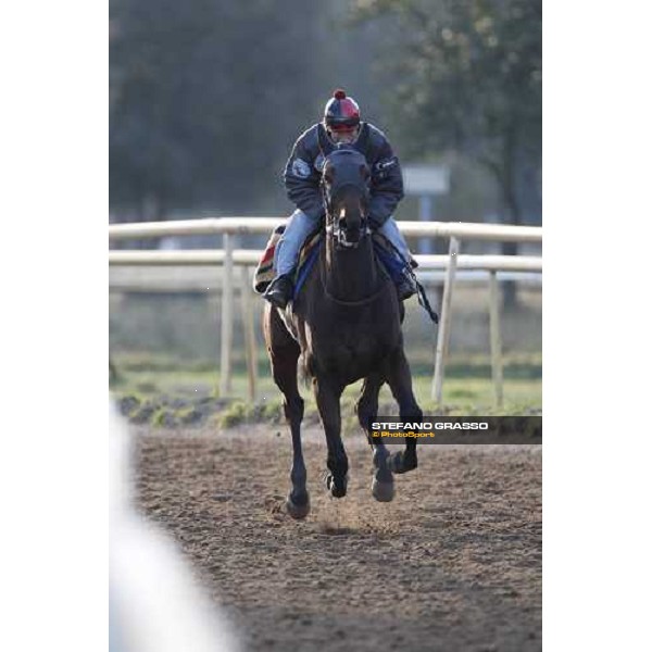 morning works at \' I Cotoni\' Pisa San Rossore, 17th dec. 2007 ph. Stefano Grasso