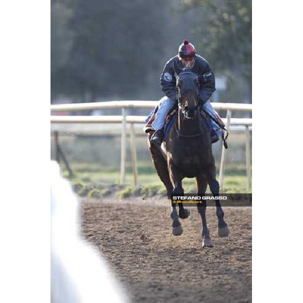 morning works at \' I Cotoni\' Pisa San Rossore, 17th dec. 2007 ph. Stefano Grasso