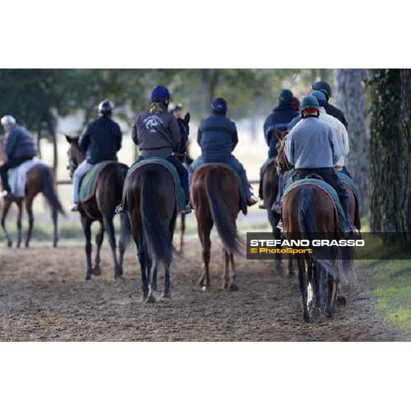 morning works at \' I Cotoni\' Pisa San Rossore, 17th dec. 2007 ph. Stefano Grasso