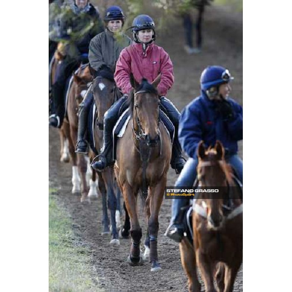 morning works at \' I Cotoni\' Pisa San Rossore, 17th dec. 2007 ph. Stefano Grasso
